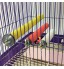 OEM - Perches Stand Platform Chew Toy